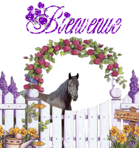 Gif animé bienvenue cheval